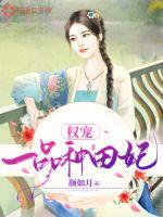 Ȩ��һƷ������