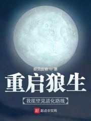 ����������������������·��