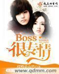 BOSS��ר��