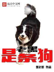 �Ϻ�������