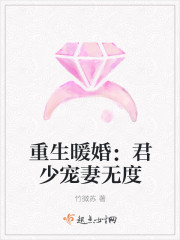 重生暖婚:君少宠妻无度