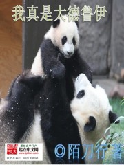 �����Ǵ��³��