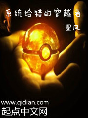 ϵͳ�����Ĵ�Խ��