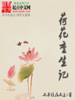 �ɻ�������