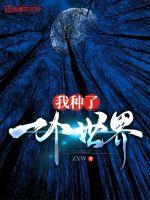 ������һ������