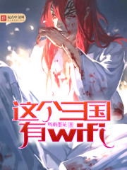 这个三国有wifi