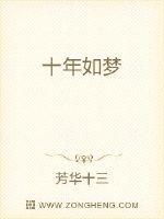 ʮ������